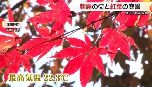 各地で秋の深まり　放射冷却の影響で朝靄に包まれた松江のあさ　津和野の庭園は紅葉の見ごろ（島根）