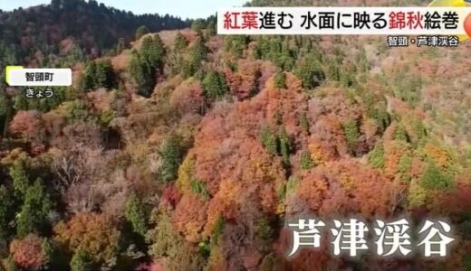 鮮やかに色づいた山々が水面に映る幻想的な風景　秋深まる標高７００ｍの秘境・芦津渓谷（鳥取・智頭町）