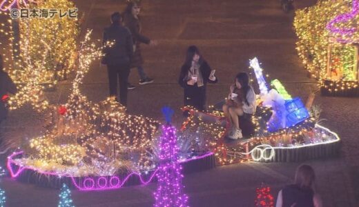 中国地方最大級100万個のLED電球を使った光と花の祭典　「フラワーイルミネーション」11月15日から開催　鳥取県南部町・とっとり花回廊