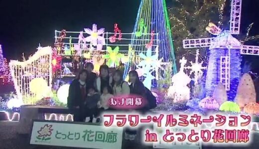 冬のとっとり花回廊を虹色に彩る「フラワーイルミネーション」今年も１５日から点灯（鳥取・南部町）
