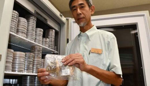 高級キノコ｢アミガサタケ｣の研究で栄誉　矢巾･成松真樹さん
