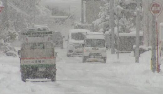 紅葉に降り積もる雪…この時期だけの絶景が！今季一番の寒気が列島襲来し“霧氷”も