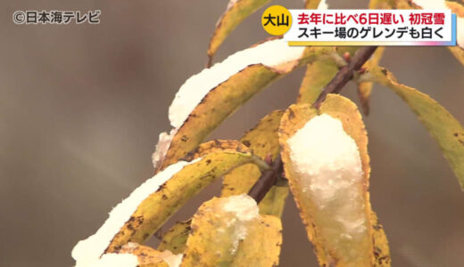 山陰各地で今季一番の寒さ　大山では初冠雪　観光客は紅葉と雪のコントラストを楽しむ　　鳥取県・島根県