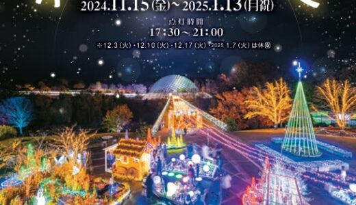 【とっとり花回廊】「フラワーイルミネーション2024」が2025年1月13日（月祝）まで開催中｜南部町