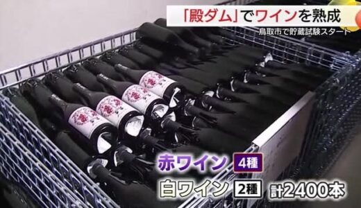 ダムを「ワインセラー」に…熟成された味わいに期待！鳥取産ワインに地域資源生かした付加価値を（鳥取）