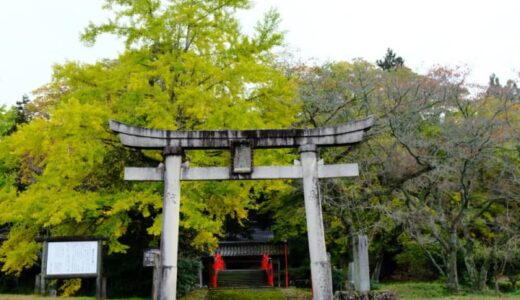 ［上小鴨神社］これからが見頃！赤い橋に映える黄金のイチョウ｜倉吉市