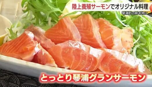 大山の伏流水で育つ「とっとり琴浦グランサーモン」ブランド化へオリジナル料理誕生（鳥取・琴浦町）