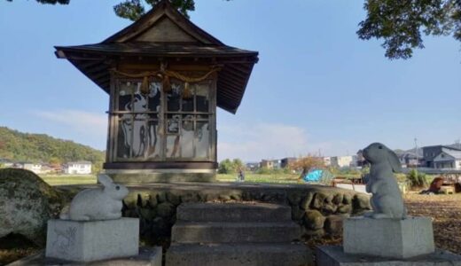 「美味しい二十世紀梨が届いて喜んでます！」　鳥取県八頭町のふるさと納税返礼品ランキングトップ3【2024年11月版】