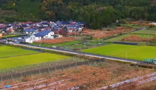 その名も「へこきむしナイス」異常発生の厄介者「カメムシ」捕獲器を飛び回る姿から閃き…鳥取の企業が開発