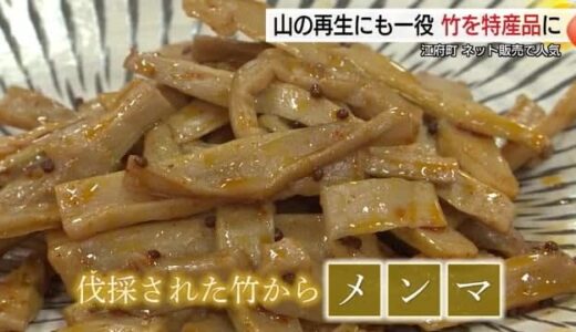 お母さん手作り「メンマ」が里山の救世主に！山林荒廃の元凶「竹林」を地域活性への宝の山に（鳥取）