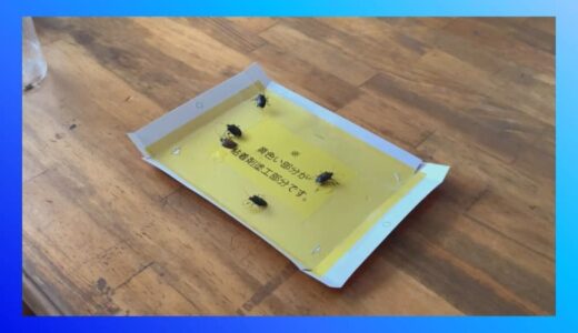 カメムシ捕獲器「へこきむし」開発　ポイントは「天井につるす場所」　カメムシの習性をいかしてどこにつるす？