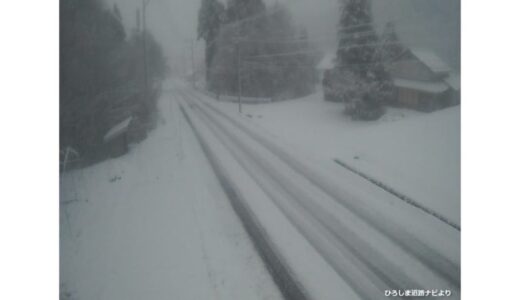 【雪情報】中国山地は各地で雪景色　国道の路面にも積雪　冬用タイヤやすべり止め携行を　アメダス積雪は高野10センチ・八幡6センチ観測