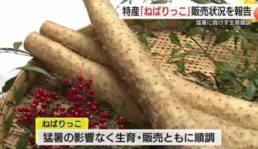 「お好み焼きのつなぎに入れて良し、焼いて良し」鳥取特産長芋“ねばりっこ”上々の出来を報告