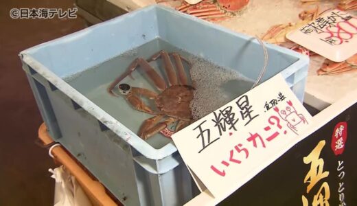 ズワイガニ漁　漁獲好調も価格は去年下回る　漁獲枠の消化は例年ペース　鳥取県