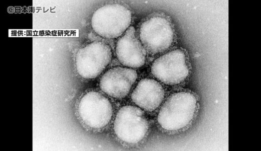 発症すぐの検査はNG？　山陰でも猛威を奮うインフルエンザ　検査キットや治療薬の不足を危惧　鳥取県・島根県