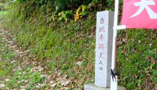 森の中に佇む隠れた名所「双六原 白蛇弁財天」に行ってきました！｜鳥取市