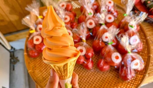 道の駅で発見！まるでフルーツなトマトソフトクリーム！町自慢のトマトジュースも味わえる｜鳥取県日南町