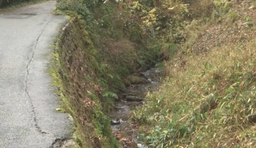自転車とともに川に倒れているところを発見　転落事故で死亡した会社役員男性の死因が判明　全身打撲による全身多発骨折…溺水吸引し窒息　水深は５センチ