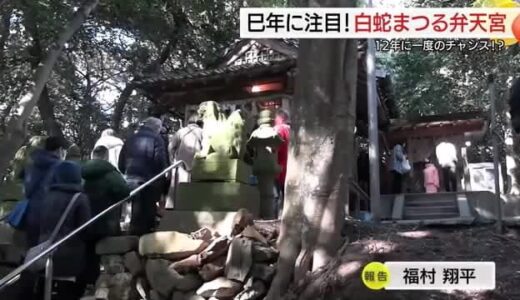 「巳年」にちなんだ神社に参拝客の“長蛇”の列！お供え物は「卵」金運上昇や商売繁盛など願う（鳥取）