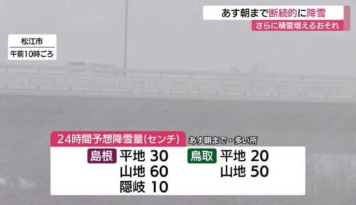 【大雪情報】鳥取県は11日午前にかけて降雪続く24時間予想は平地20センチ山地50センチ