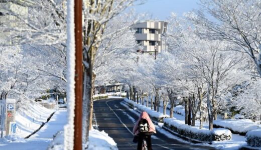 11日の中国地方、各地で氷点下に　路面凍結やなだれ注意