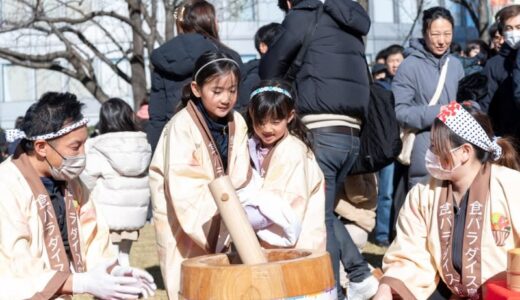 六本木ヒルズで体験！新春もちつきと鳥取の魅力が織りなす特別なひととき