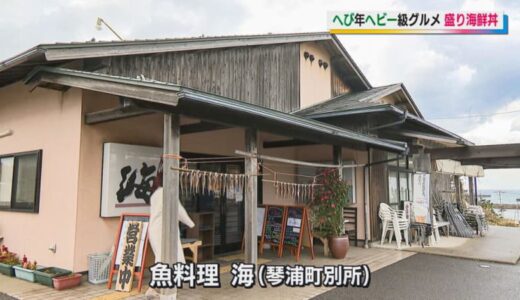 行列のできる海鮮丼店！大きなモサエビ、大ぶりの刺身が山盛りで大満足間違いなしの海鮮丼｜琴浦町