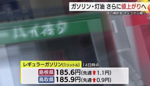 政府補助金さらに縮小で「ガソリン価格」など引き上げへ…消費者はあきらめ？家計への打撃さらに強まる