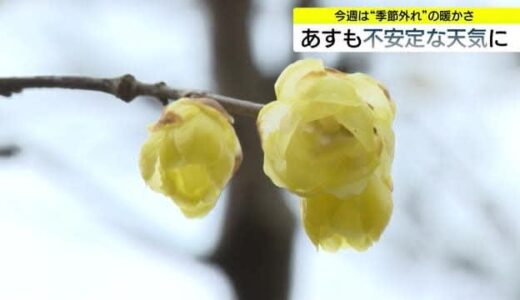 不安定な空に二重の虹出現の一方で季節先取りの穏やかな空に白銀の大山「大寒」と裏腹の気温に
