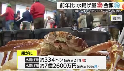 山陰の冬の味覚「ズワイガニ」水揚げ状況　水揚げ量増加の一方、水揚げ金額は減少（鳥取）