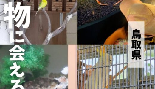 【全て無料】鳥取県の動物とふれあえる公園・生き物観察スポット5選