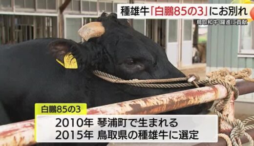 ありがとう白鳳85－3「名声は和牛界に永遠に刻まれる…」鳥取和牛の種牛お別れの会に知事など参列