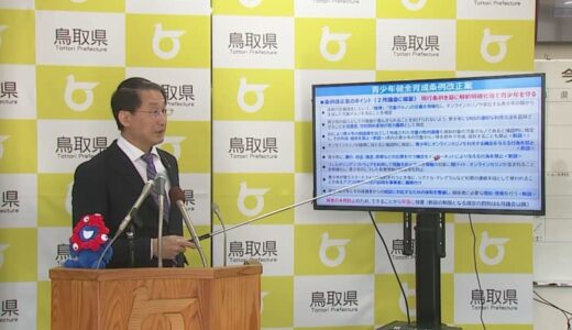 実在する青少年の顔からAIで生成した性的画像は「児童ポルノ」、オンラインカジノは「賭博」と定義　鳥取県条例で規制へ