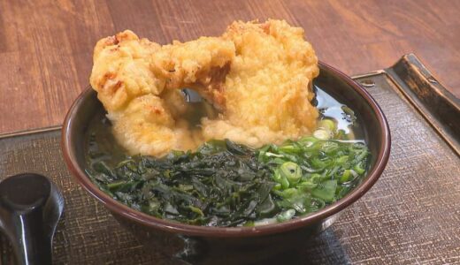 スープを覆う大きな鶏天！家族で切り盛りするアットホームでサービス満点なうどん屋さん｜鳥取県米子市