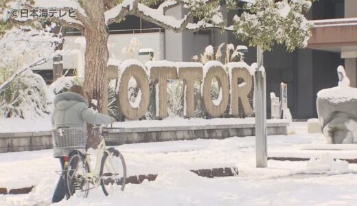 この冬一番の強い寒気　山陰各地で氷点下の気温や積雪を観測