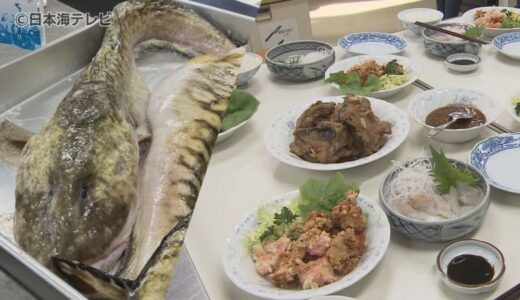 見た目のインパクトは抜群！深海魚「ばばちゃん」を使った料理教室　鍋や唐揚げ刺身などのフルコースを調理　鳥取県岩美町