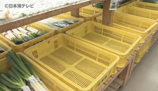 居座る“今季最強寒波”　積雪の影響で野菜の収穫が出来ず　直売所では商品減少　「雪が降る限りは中々出荷が少ないと…」　鳥取県