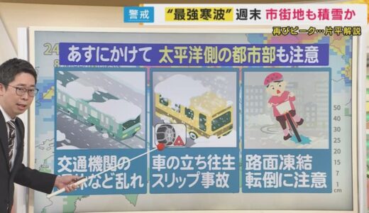 片平解説　【今季