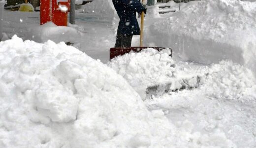 9日にかけて警報級大雪の恐れ　7日、松江城では倒木の危険性で公園内を立ち入り禁止に　交通機関への影響、8日以降も