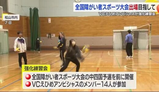 全国大会の切符獲得へ！愛媛唯一の知的障がい者バレーボールクラブが中四国予選へ強化練習【愛媛】
