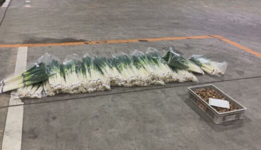 広範囲・長期間の寒波で「物流」「野菜価格」にも影響　キャベツ・ハクサイ・ブロッコリー・ニンジンなどは4月まで品薄で高値傾向の見通し