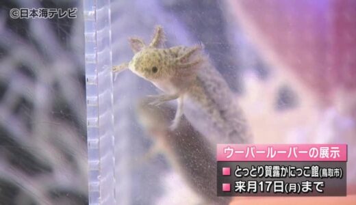 名前の意味は