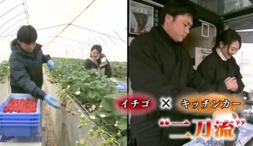 夫婦の中間地点「北栄町」でイチゴ栽培　移住の決め手は「コナン」！カフェとの二刀流で充実ライフ（鳥取）