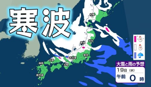 【強烈寒波で大雪・低温】東北、関東甲信、北陸、近畿など『警報級の大雪』の可能性　関東、北陸、東海、近畿、中国、四国、九州では『低温』【雪のシミュレーション】