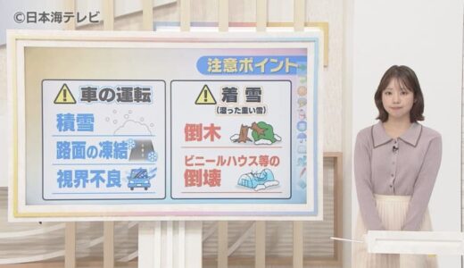 【町田気象予報士解説】山沿いを中心に雪が増える見込み　日本海で発達した雪雲が次々と流れ込み、急に雪が強まる可能性も　山陰地方