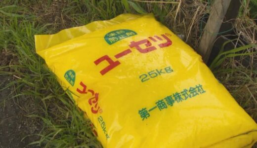 長引く寒波「積雪」の影響…「融雪剤」が売り切れ　除雪車が通らない細い道や玄関前にまくため、個人で購入する人が増加