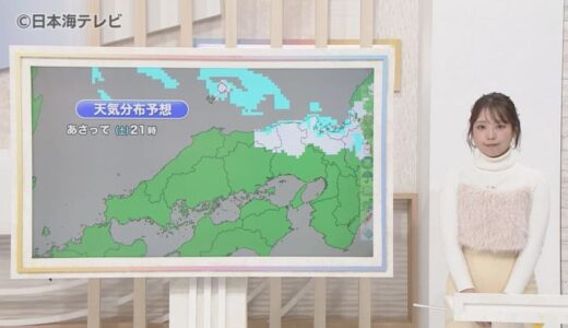 【町田気象予報士解説】山沿いを中心に積雪が増加する見込み　寒波の影響は3連休にも続き山間部や斜面では雪崩に注意