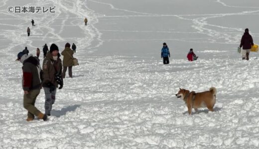 鳥取砂丘が白銀世界に　3連休中日の山陰は断続的に降雪　24日未明から夕方にかけ大雪の恐れも　鳥取県鳥取市