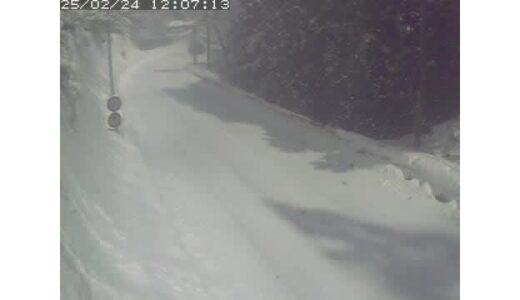 雪でスリップか…大型車両と普通乗用車3台絡む事故で国道180号線通行止め（鳥取・岡山）