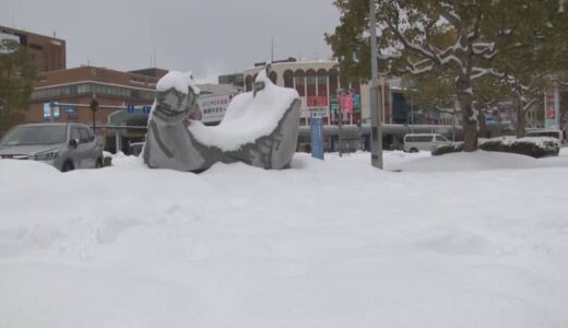 普段雪の少ない平地も「積雪」…24日夕方にかけ「大雪」に　25日朝にかけて気温が平年よりかなり低くなる見込み